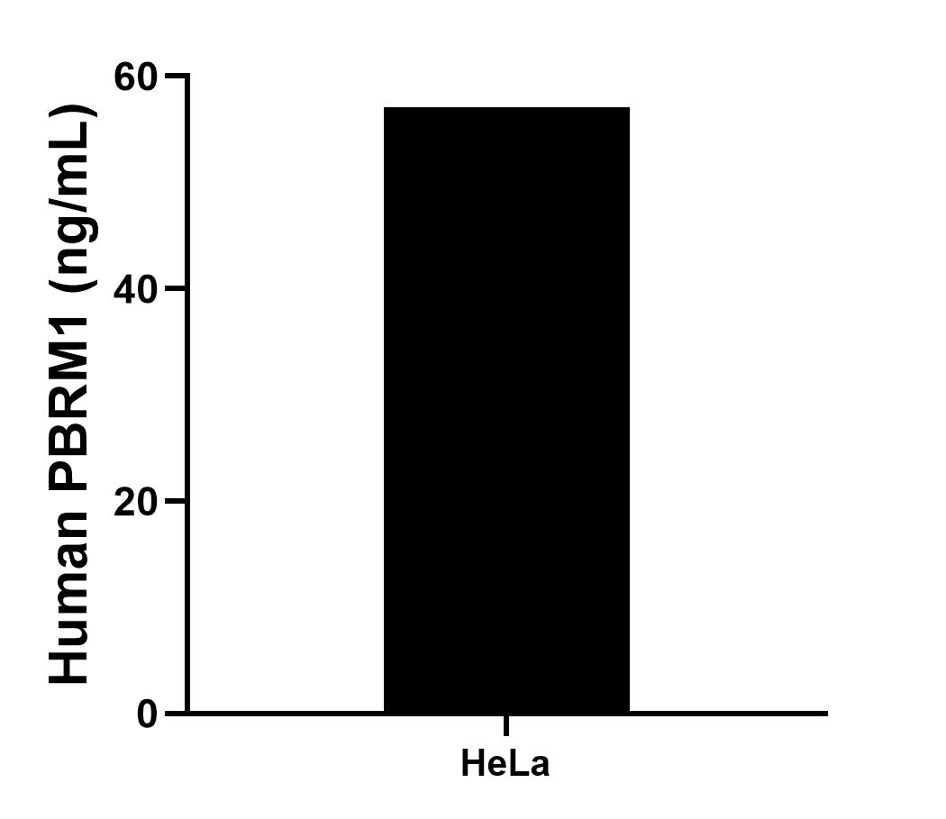 Sample test of MP00656-4